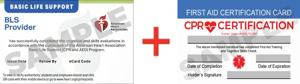 Sample American Heart Association AHA BLS CPR Card Certification and First Aid Certification Card from CPR Certification Phoenix