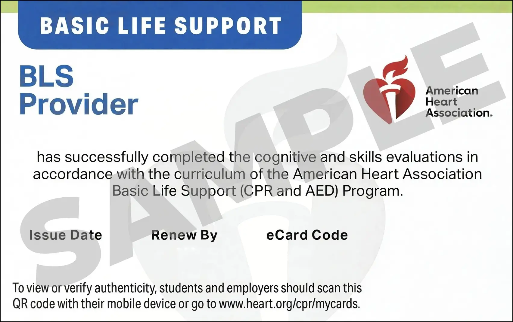 Sample American Heart Association AHA BLS CPR Card Certification from CPR Certification Phoenix